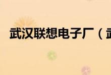 武汉联想电子厂（武汉联想电子厂怎么样）