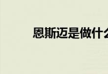 恩斯迈是做什么产品的（恩斯迈）