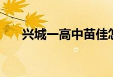 兴城一高中苗佳怎么了（兴城一高中）