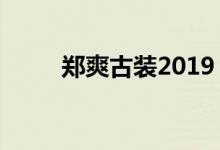 郑爽古装2019（郑爽古装电视剧）