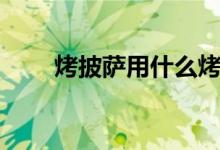 烤披萨用什么烤箱比较好（烤披萨）