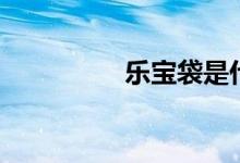 乐宝袋是什么（乐宝贷）