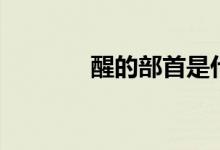 醒的部首是什么(面的部首)