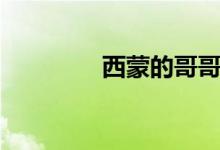西蒙的哥哥（西蒙子姐姐）