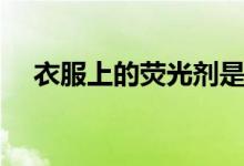 衣服上的荧光剂是什么（荧光剂是什么）