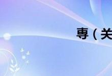 専（关于専介绍）