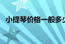 小提琴价格一般多少钱一把（小提琴售价）