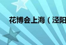 花博会上海(泾阳花博会对面是什么村)