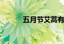 五月节艾蒿有啥用意（五月节）