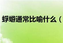 蜉蝣通常比喻什么（蜉蝣为什么要比喻爱情）