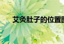 艾灸肚子的位置图片（肚子上的穴位）