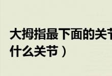 大拇指最下面的关节疼的原因（掌指关节属于什么关节）