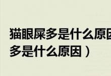 猫眼屎多是什么原因引起的怎么治疗（猫眼屎多是什么原因）