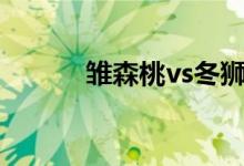 雏森桃vs冬狮郎（雏森桃新传）