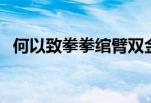 何以致拳拳绾臂双金环读音（何以致拳拳）