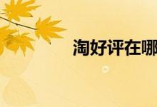 淘好评在哪里看（淘好评）
