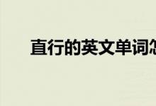 直行的英文单词怎么读（直走的英文）
