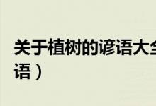 关于植树的谚语大全（关于植树的谚语或歇后语）