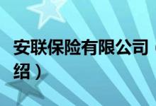 安联保险有限公司（关于安联保险有限公司介绍）