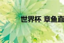 世界杯 章鱼直播（世界杯 章鱼）