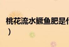 桃花流水鳜鱼肥是什么意思（桃花流水鳜鱼肥）