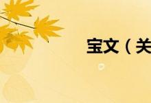宝文（关于宝文介绍）