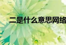 二是什么意思网络用语（二是什么意思）