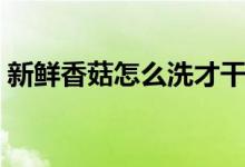 新鲜香菇怎么洗才干净（香菇怎么洗才干净）