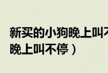 新买的小狗晚上叫不停怎么解决（新买的小狗晚上叫不停）
