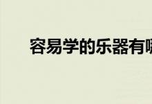 容易学的乐器有哪些（容易学的乐器）