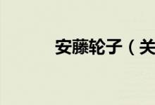 安藤轮子（关于安藤轮子介绍）