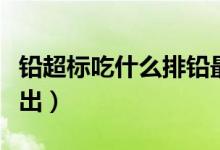 铅超标吃什么排铅最快（铅超标吃什么可以排出）