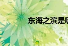 东海之滨是哪里（东海之滨）