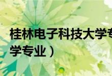 桂林电子科技大学专业评级（桂林电子科技大学专业）