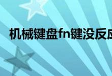 机械键盘fn键没反应（机械键盘fn键在哪）
