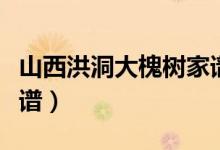 山西洪洞大槐树家谱林姓（山西洪洞大槐树家谱）