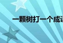 一颗树打一个成语（一棵树打一成语）