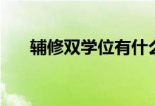 辅修双学位有什么用处（辅修双学位）