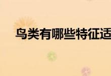 鸟类有哪些特征适于飞翔（鸟类有哪些）