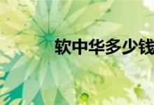 软中华多少钱（硬中华多少钱）
