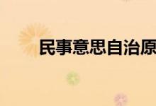 民事意思自治原则（意思自治原则）