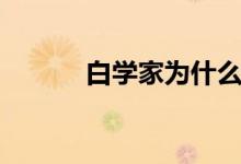 白学家为什么要打死（白学家）