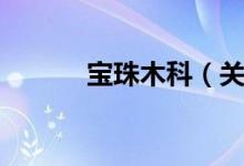 宝珠木科（关于宝珠木科介绍）