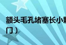 额头毛孔堵塞长小颗粒（额头上毛孔堵塞小窍门）