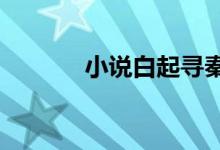 小说白起寻秦（白起寻秦txt）