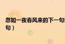 忽如一夜春风来的下一句话是什么（忽如一夜春风来的下一句）