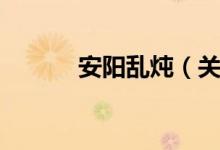安阳乱炖（关于安阳乱炖介绍）