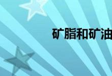 矿脂和矿油的区别（矿脂）