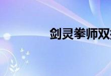 剑灵拳师双控（剑灵 拳师）