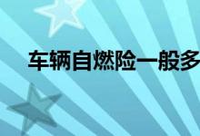 车辆自燃险一般多少钱（自燃险多少钱）